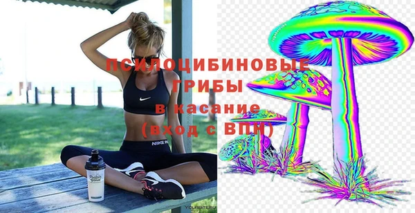 гашишное масло Богданович
