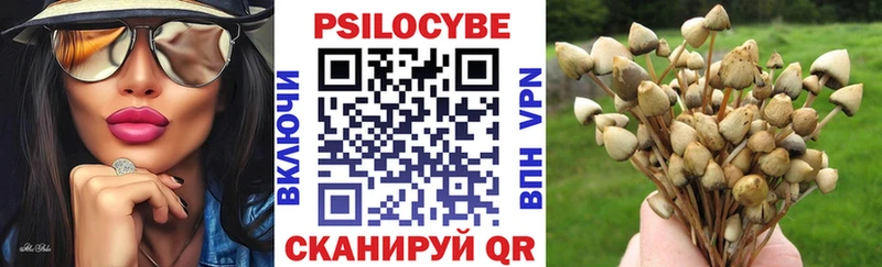 Галлюциногенные грибы Psilocybe Майкоп