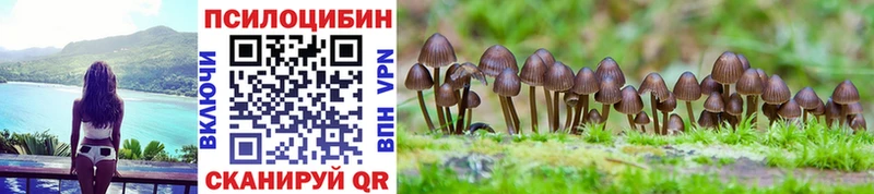 купить закладку  Майкоп  Псилоцибиновые грибы мухоморы 