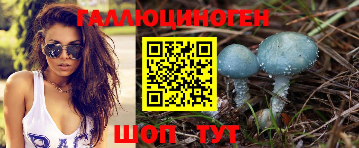 Майкоп  Галлюциногенные грибы прущие грибы  Вход с VPN 