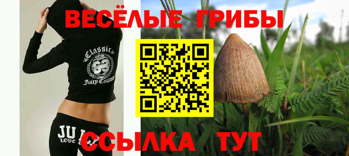 Галлюциногенные грибы Cubensis Майкоп